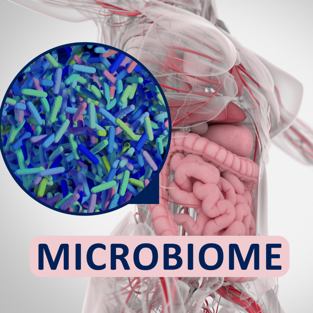 Winter Microbiome Boost: Seasonal Food and Lifestyle Tips for Your Gut Health