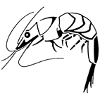 Prawn Rubber Stamp