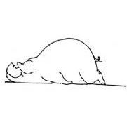 Relaxed Pig Rubber Stamp