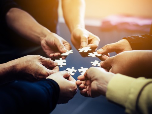 How to Build a Cohesive Team |