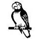 Rubber Stamps - Parrot
