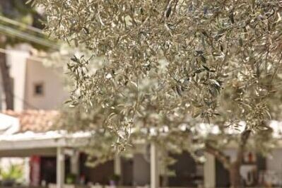 Cascade Holiday Resort – Poros 