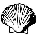 Scallop Shell Rubber Stamp