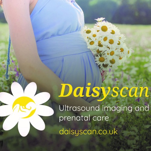 Let's Journey Through The Trimesters Together: Part 3