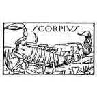 Scorpius Rubber Stamp