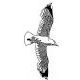 Seagull Rubber Stamp