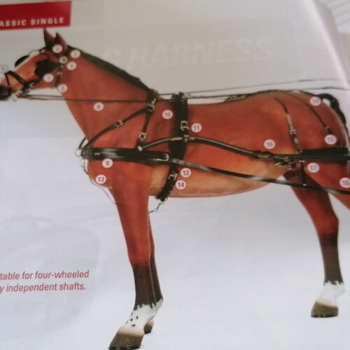 Classic Harness Set - (Fixed Backband) New