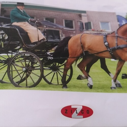 Classic Pairs Harness Set