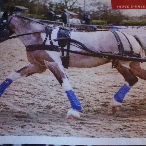 Tedex Harness Sets - New