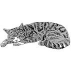 Sleeping Cat (2) Rubber Stamp