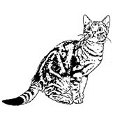 Tabby Cat Rubber Stamp
