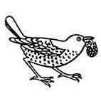 Thrush Rubber Stamp