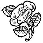 Wild Rose Rubber Stamp