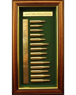 Small Calibre Hunting Rounds