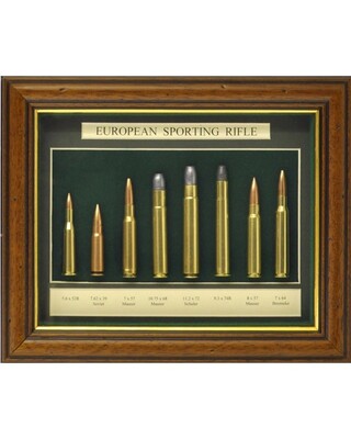 European Sporting Rifle