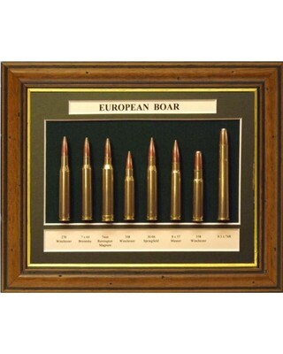 European Boar Collection