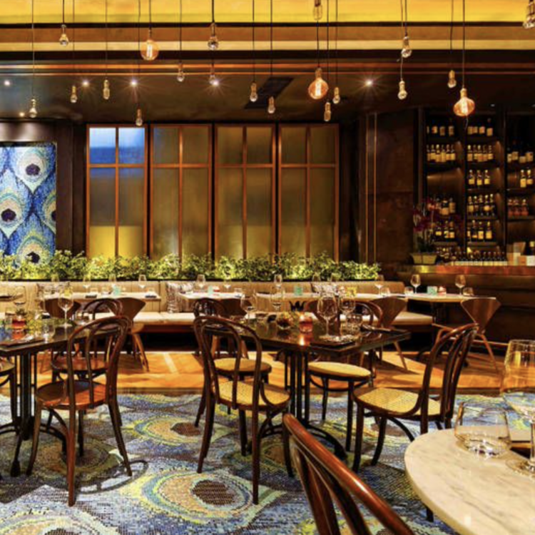 Guitar music restaurants