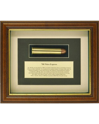 700 Nitro Express