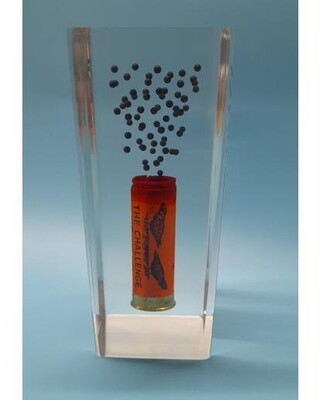 Clear acrylic block containing cartridge case and shot
