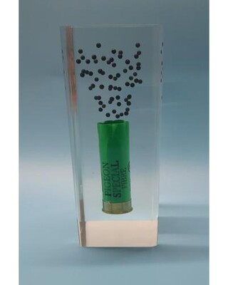 Pigeon Special case Acrylic display