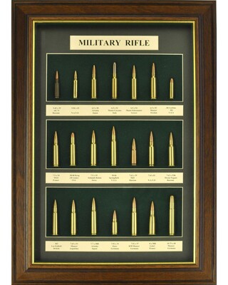 Military Rifle Display