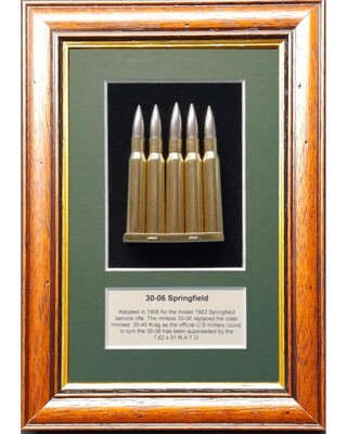 30-06 Springfield on clip