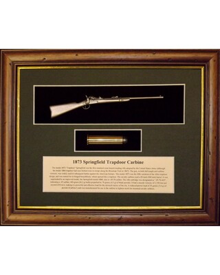 1873 Springfield "trapdoor" Rifle