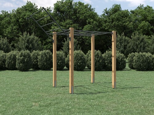 Monkey bar and wing bar combo