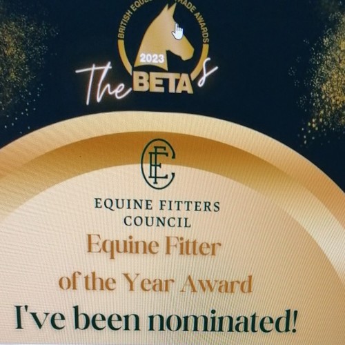 BETA Equine Fitter of the Year Nomination
