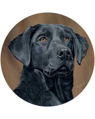 Black Labrador Drinks Coasters x 4