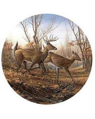 "Autumn Run" Deer Drinks Coasters x 4