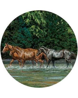 Horse Drinks Coasters x 4