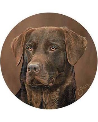 Chocolate Labrador Drinks Coasters x 4