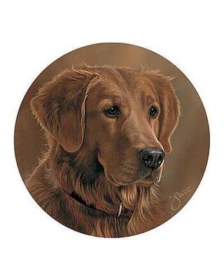 Golden Retriever Drinks Coasters x 4