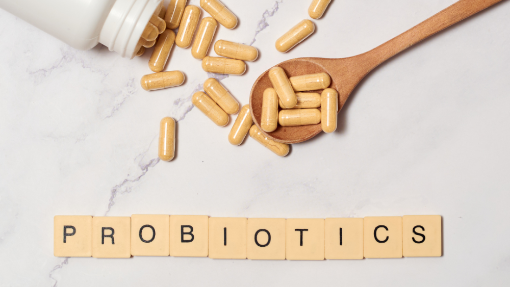 Unravelling the Complex Web of Gut Health: Why Probiotics Alone Aren't the Panacea