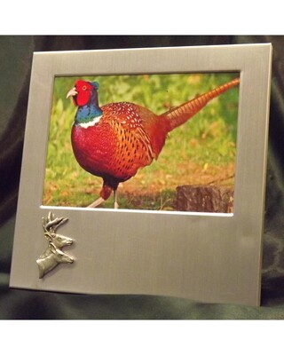 Small image frame with small pewter Embellishment.