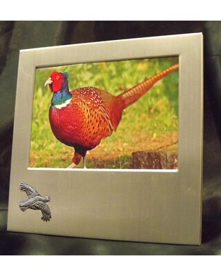 Small image frame with small pewter Embellishment.