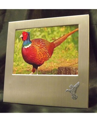 Small image frame with small pewter Embellishment.