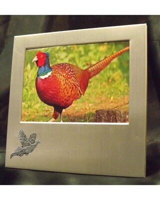 Small image frame with small pewter Embellishment.