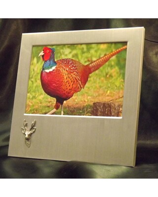 Small image frame with small pewter Embellishment.
