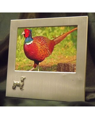 Small image frame with small pewter Embellishment.