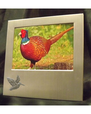 Small image frame with small pewter Embellishment.