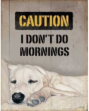 "Caution I don't do mornings" Tin Sign