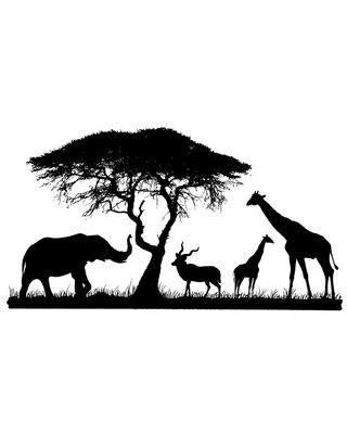 African Savannah Engraved Whisky Glasses x 4