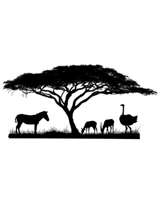 African Savannah Engraved Whisky Glasses x 4