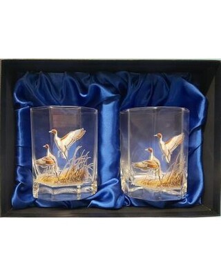 Pair American DOF's glasses with Pintail Duck image