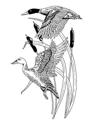 Mini Decanter set an 2 tots