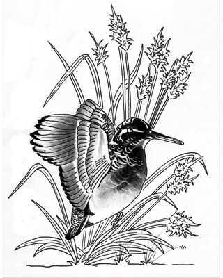 Mini Decanter set an 2 tots