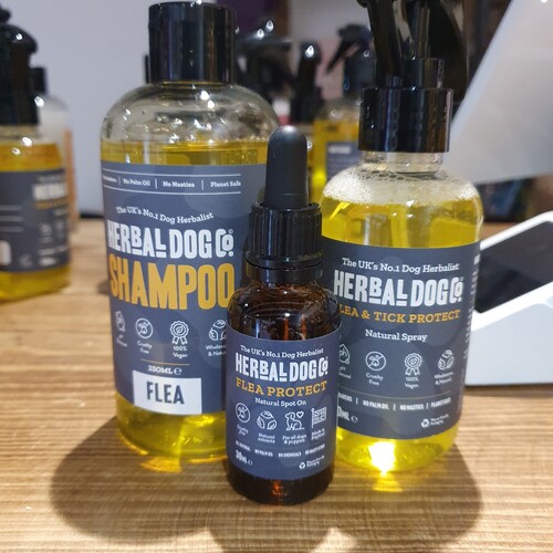 Herbal Dog - Flea Shampoo