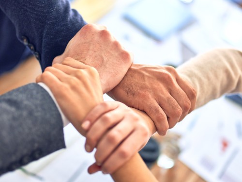 Creating a Climate for Teams to Thrive